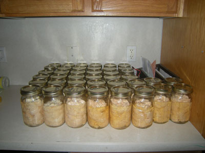 bottled-chicken bottled chicken Canning (bottling) Chicken