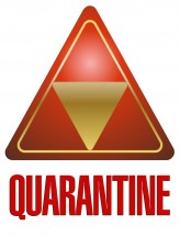 On Quarantine and Cabin Fever