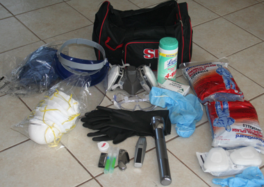 pandemic-bag