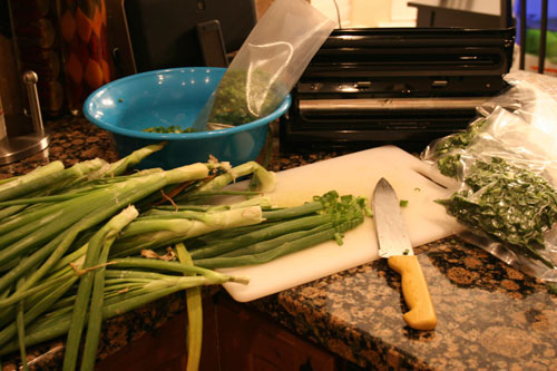 Freezing green onions