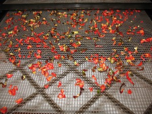 Dehydrated Peppers