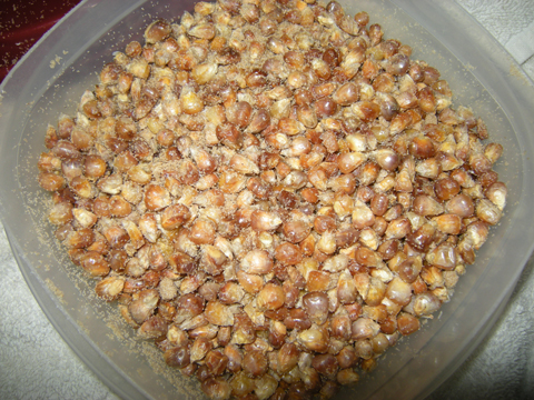 ParchedCornFinished